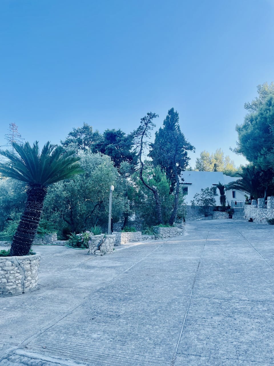 Accesso alla Villa