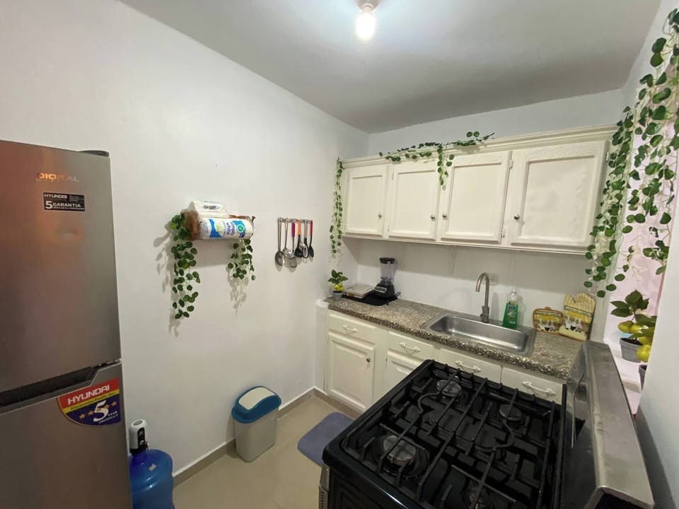 Apartment, 4 Bedrooms, Smoking, Patio | Private kitchen | Coffee/tea maker, stovetop, highchair, dining table
