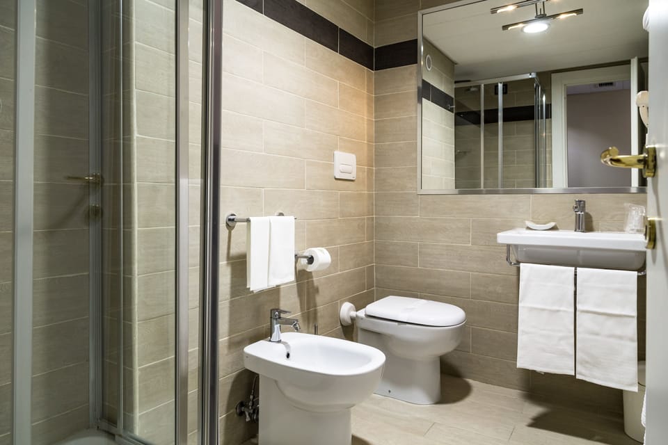 Free toiletries, hair dryer, bidet, towels
