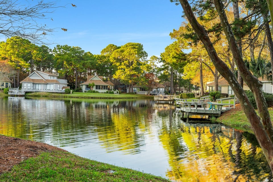 Pond Behind Home