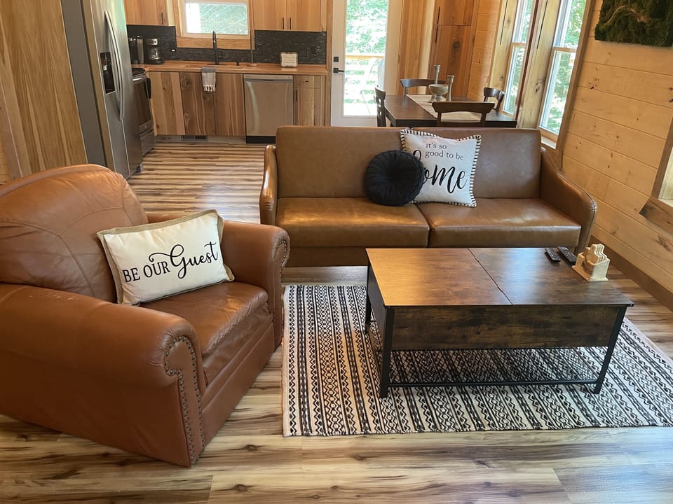 living room ( sleeping sofa)