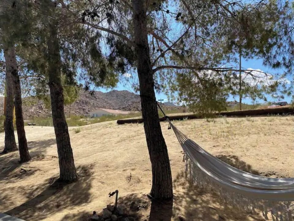 Hammock views from the front of the house