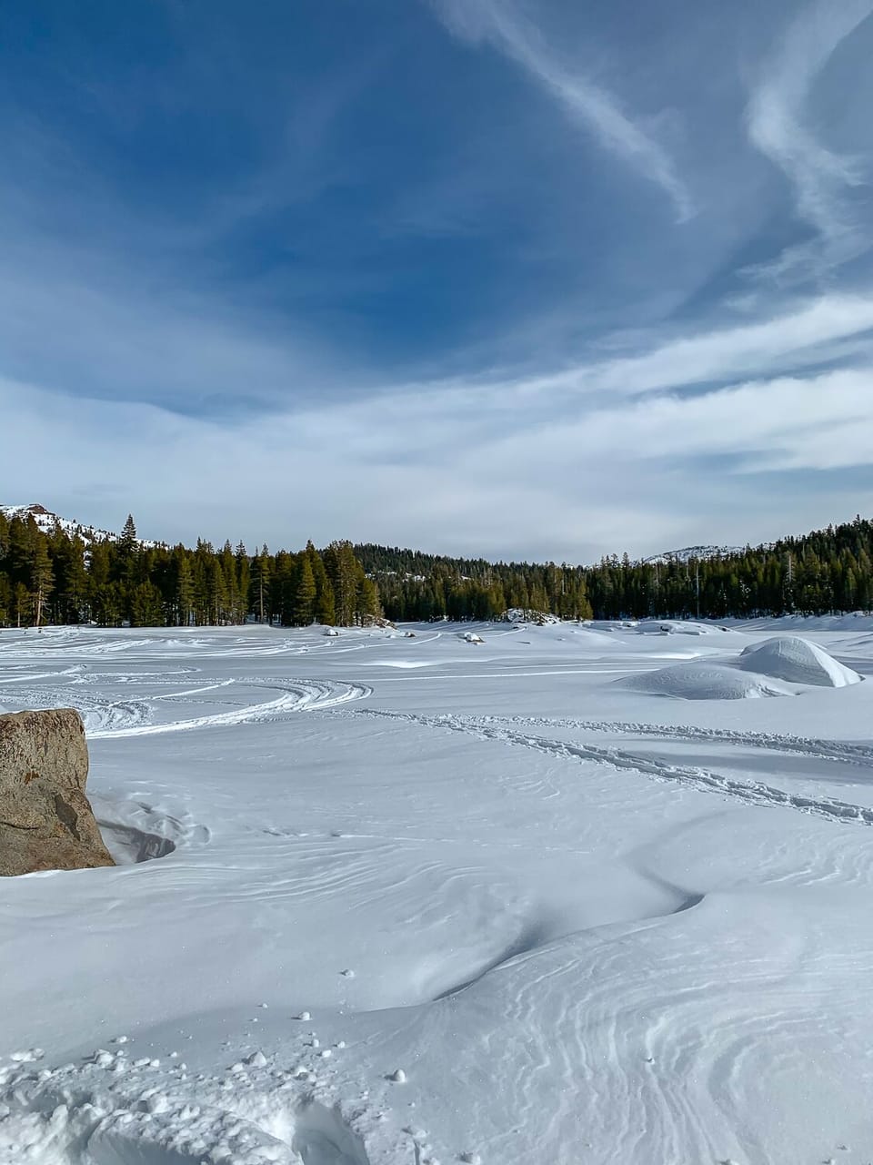 Alpine Snow