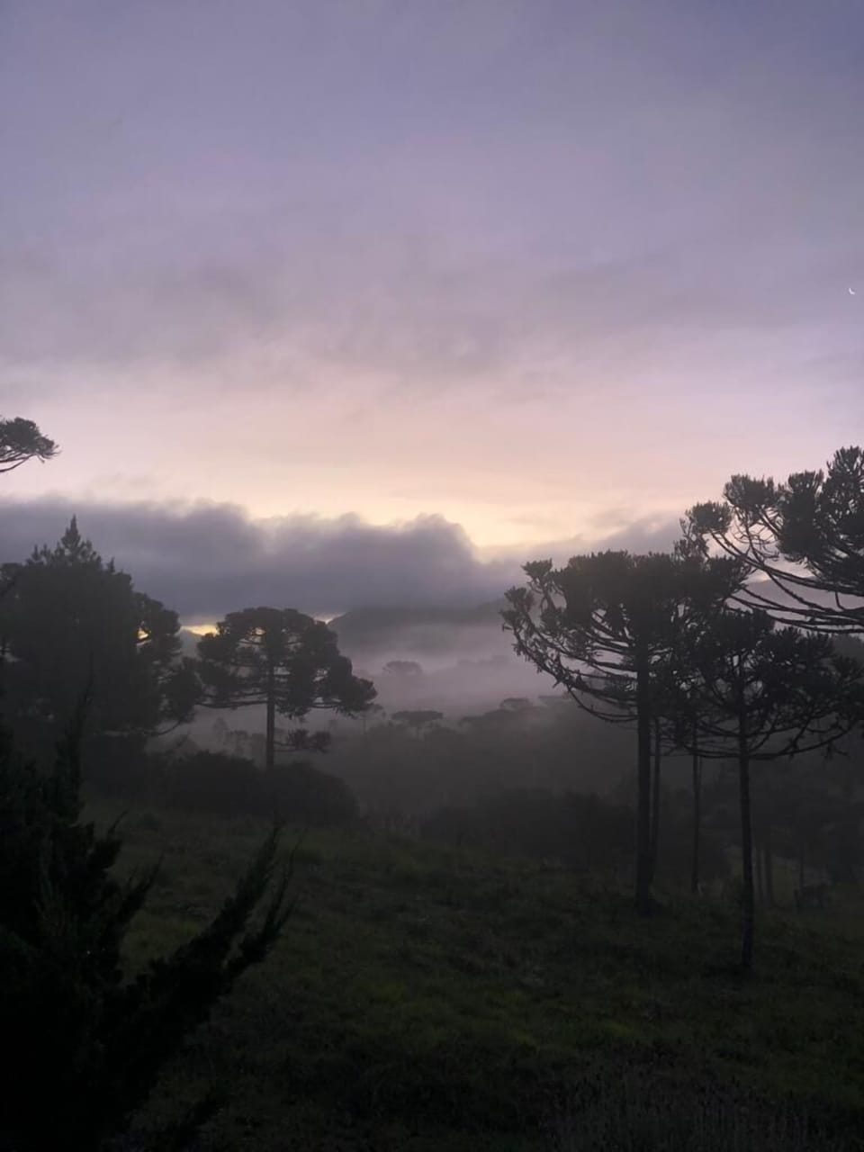 Land view from property