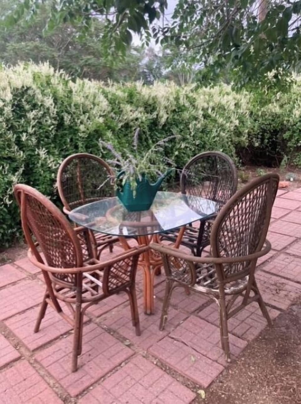 Dine Al Fresco in your private fully fenced yard.