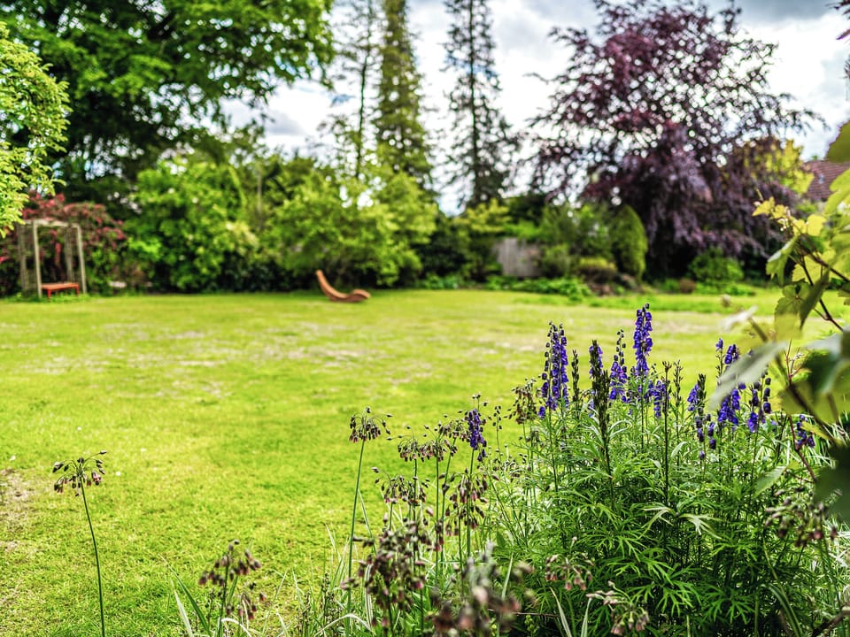 Garden | Moorlands, Chilcompton