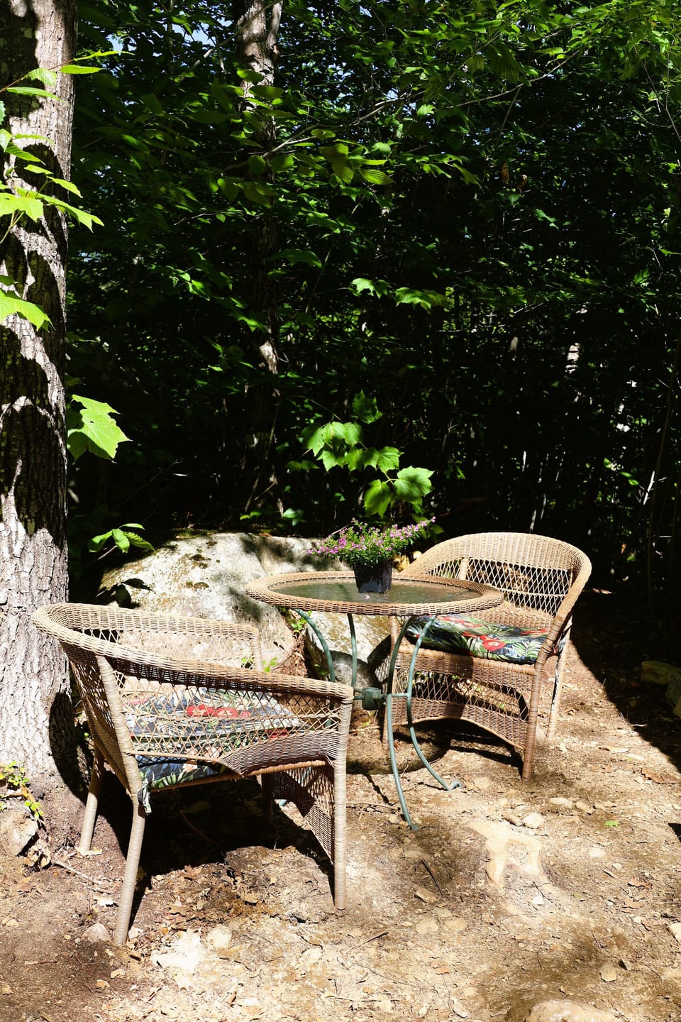 Outside table right beside the cabin.
