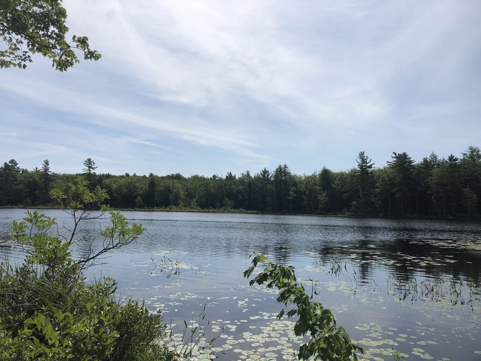 Perfect spot for fishing and paddling.