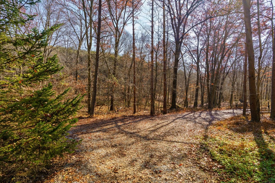 5 acres of privacy