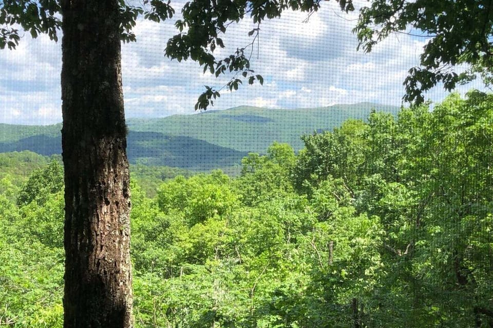 Untouched photo from screened porch