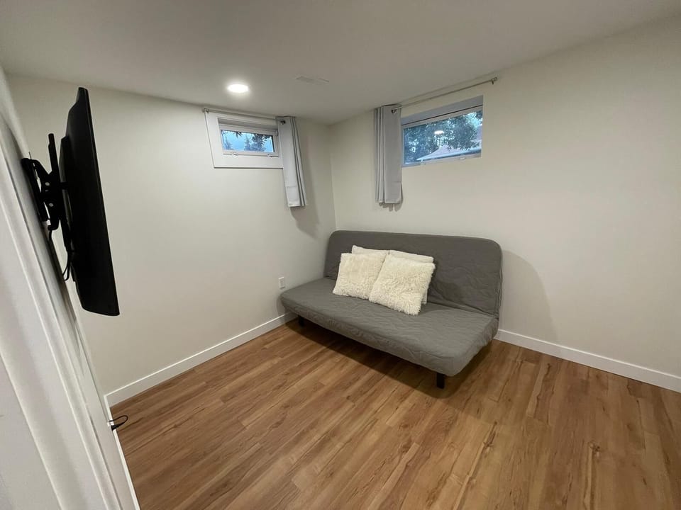 Livingroom / Bedroom - couch converts into a Queen size bed