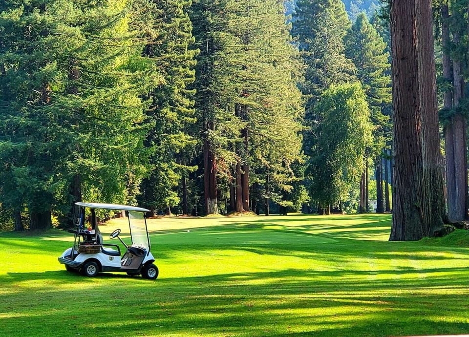 Like Golf? Play a round at Northwood - This is a top 10, 9-hole golf course developed by Alistair McKinsey of Augusta National fame! It is a stunning course, and you will likely see deer, Ospreys & Eagles! This is a 7-minute drive from the house!