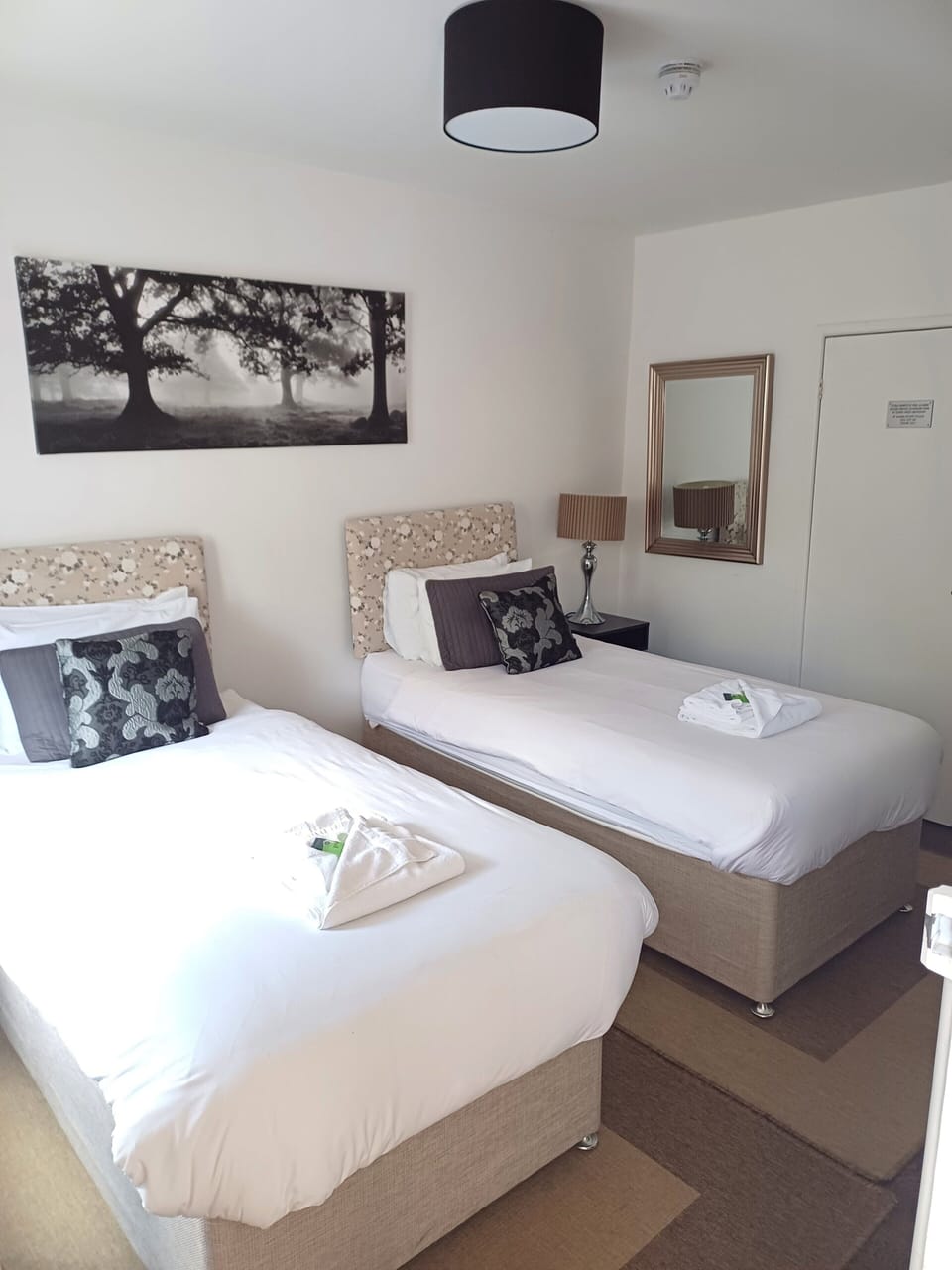 Economy Twin Room, Ensuite | Individually decorated, individually furnished, desk, laptop workspace