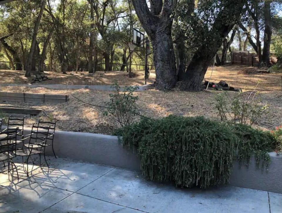 The view out the kitchen window