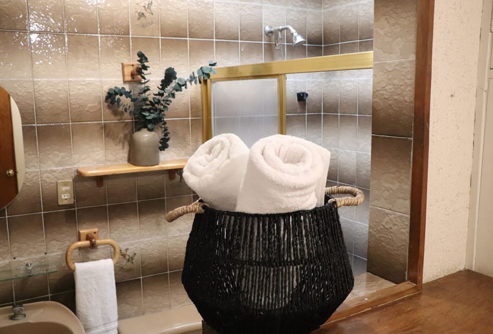 Towels, soap, shampoo, toilet paper