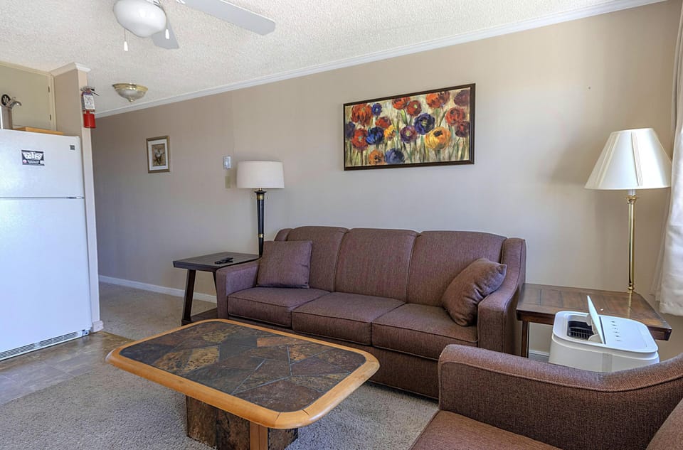 The cozy living room with sofa pullout bed sleeps up to two people.