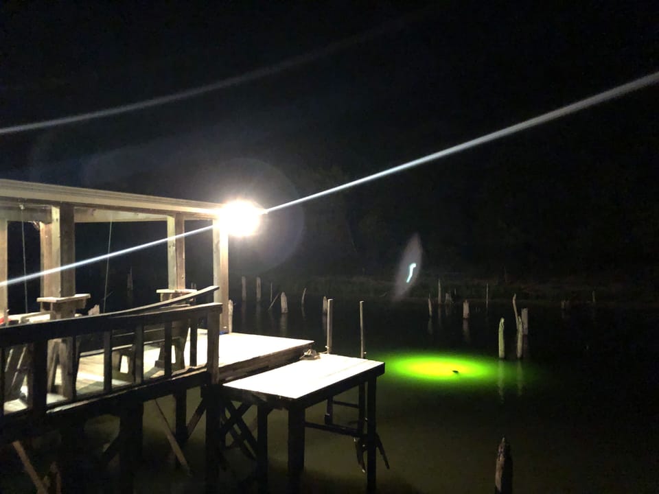 The dock is located on a small calm bay attracting many fishes to this place.