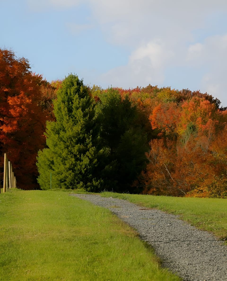 Crisp fall weather and stunning autumn colors abound in Canaan 