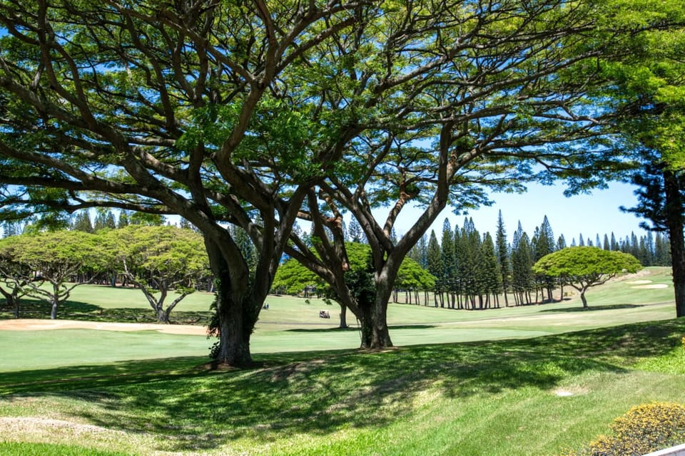 A place where stillness meets scenery—where wide-open fairways and lofty pines create a canvas of restful escape    