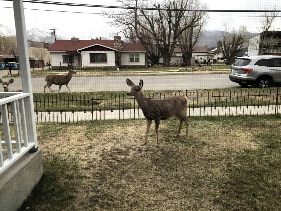 Neighbors may stop by to say hello