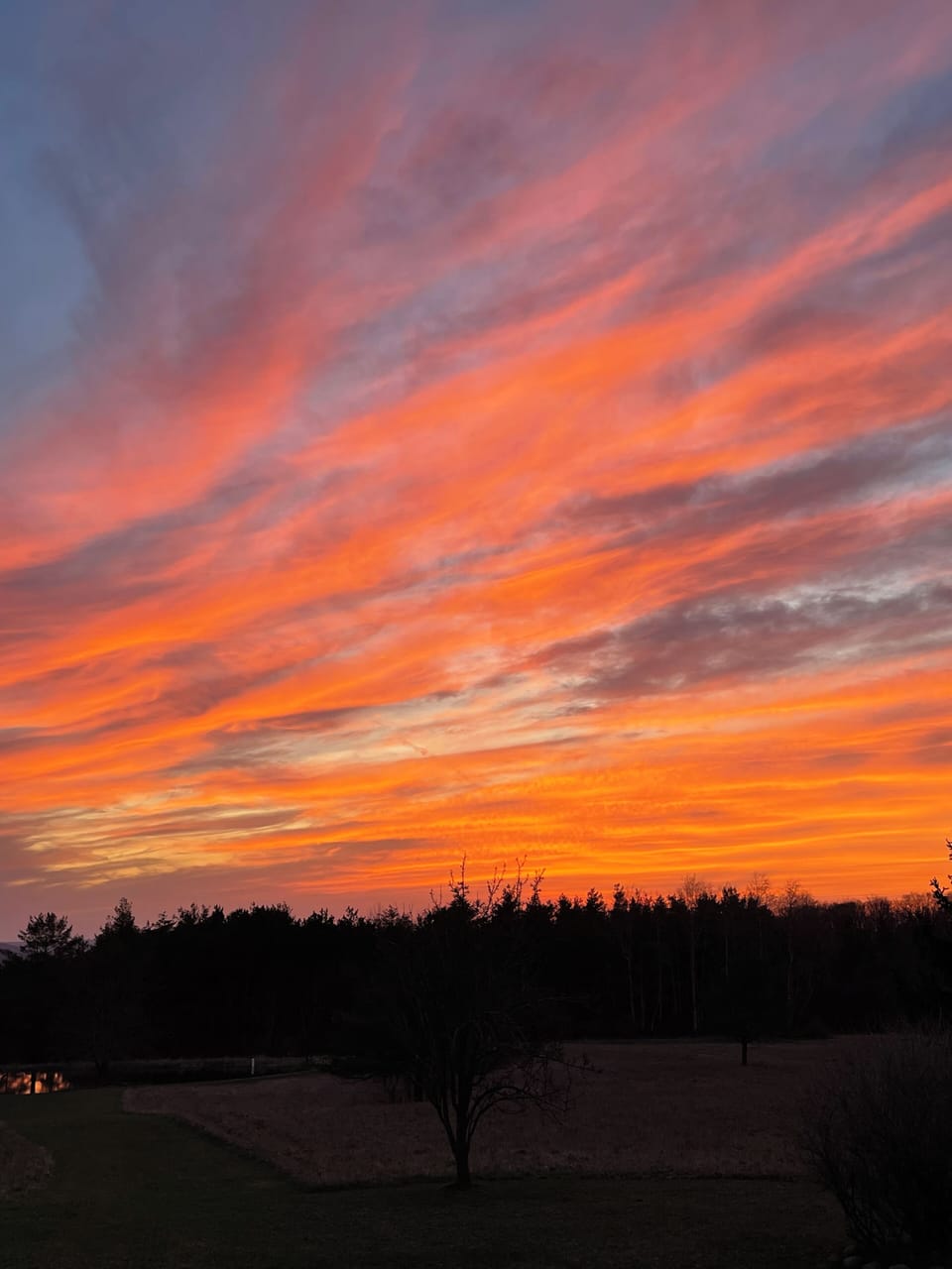 June 2023 Sunset on Emerson Road