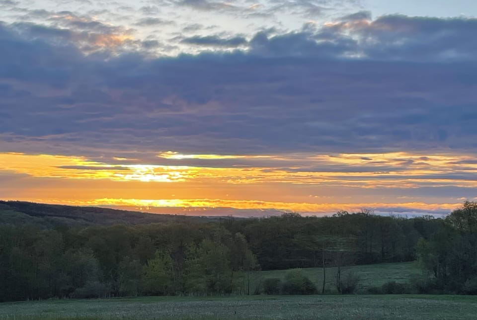 May 10th, 2024 Sunrise on Emerson Road