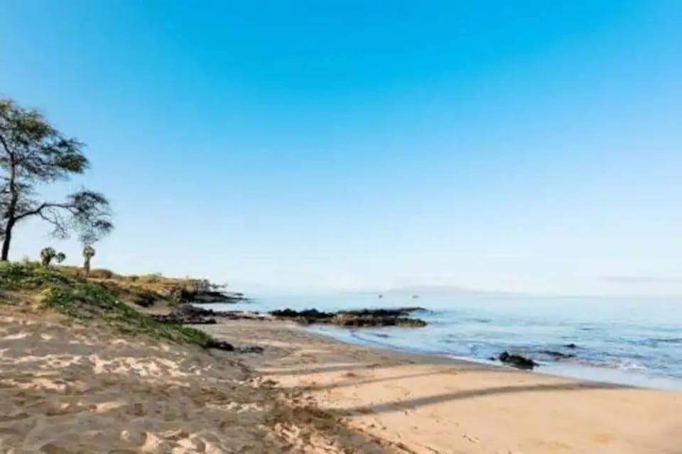 Kamaole III beach (just across the street)