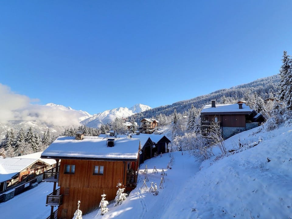 Comfortable 2 Rooms + Cabin, Pets Allowed, Ski-in/Ski-out Apartment in Les Allues