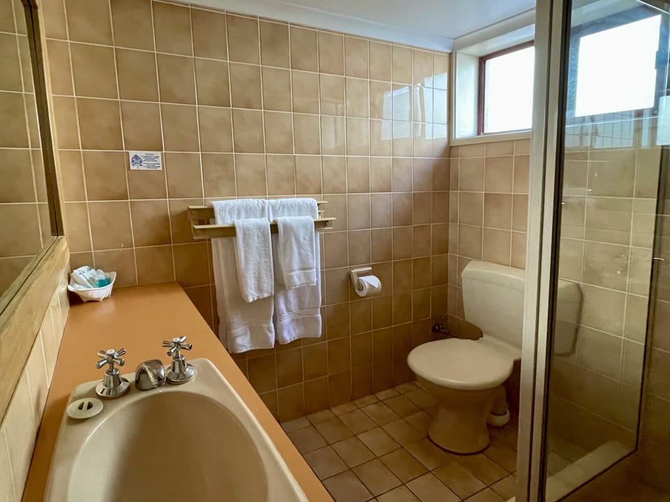 Shower, eco-friendly toiletries, hair dryer, towels