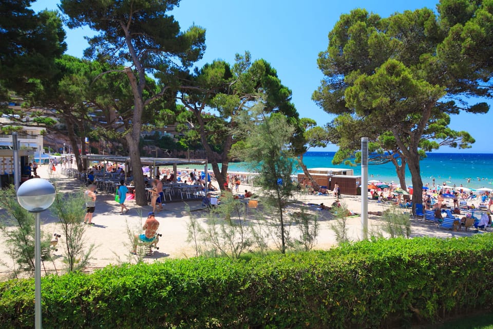Beach