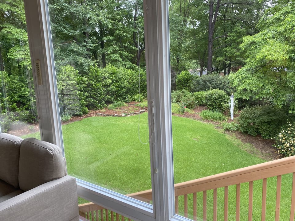 Fenced backyard