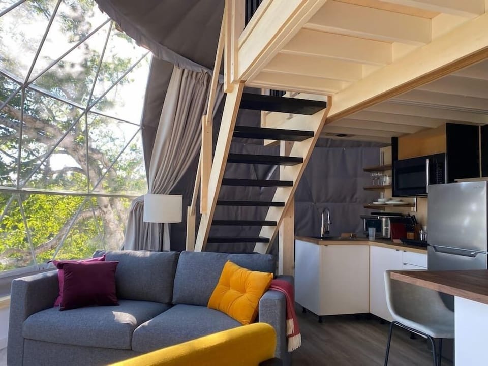 Our domes offer a beautiful living space immersed in nature. (2)