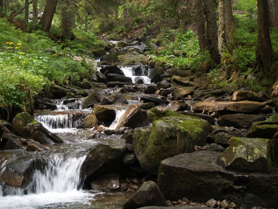 Scenic valley walks