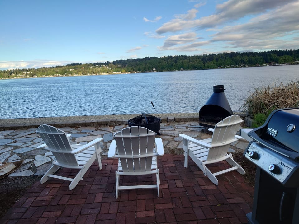outdoor 2nd patio with dual BBQ (gas, charcoal & rotisserie)