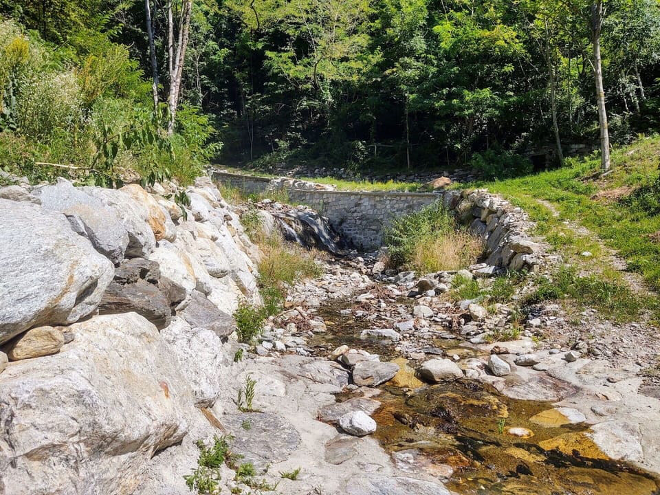 Plant, Plant Community, Bedrock, Natural Landscape, Tree, Groundcover, Outcrop, Formation, Landscape