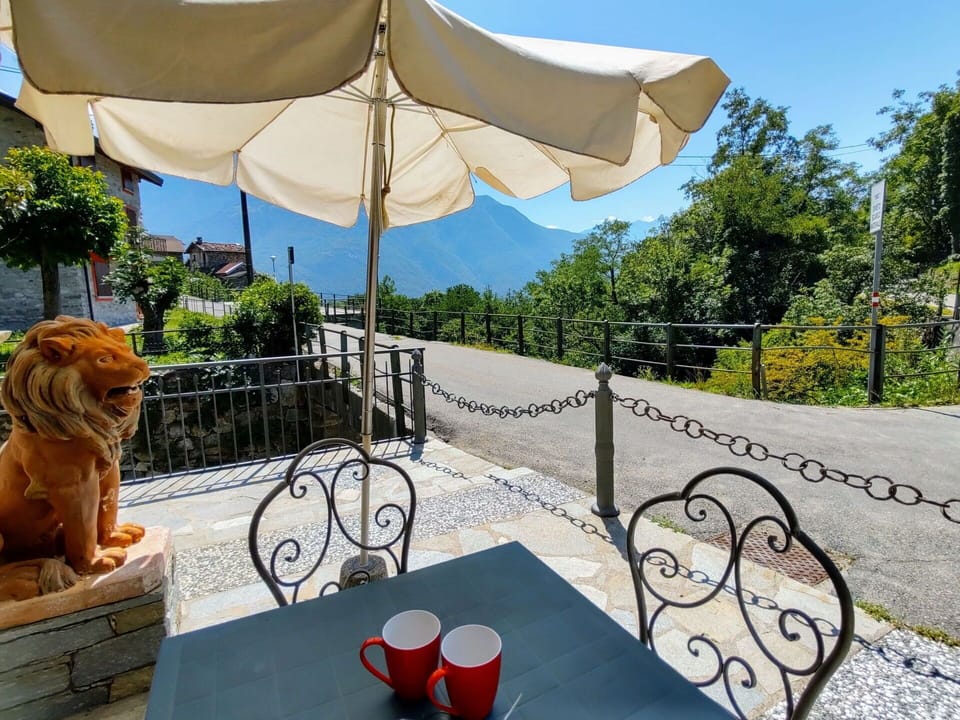 Plant, Table, Property, Tableware, Umbrella, Shade, Outdoor Furniture, Tree, Sky, Leisure