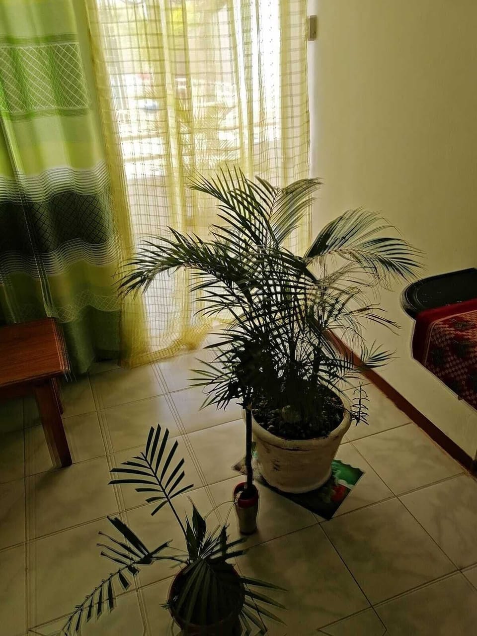 Shared Dormitory, 1 Bedroom, Smoking, Balcony | Living area