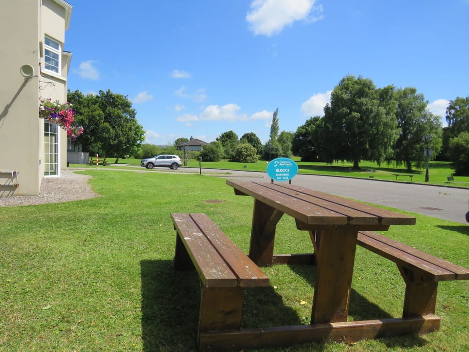 BBQ/picnic area