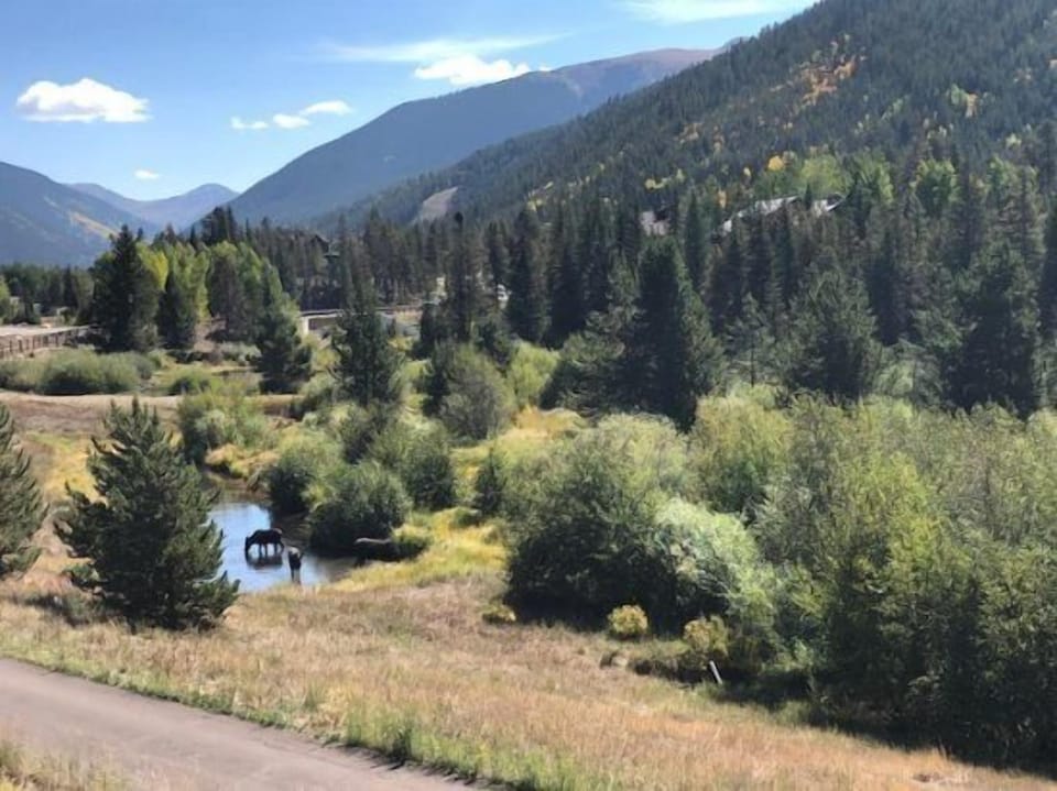 Condo (3 Bedroom Condo in Keystone - West Ke) | Exterior