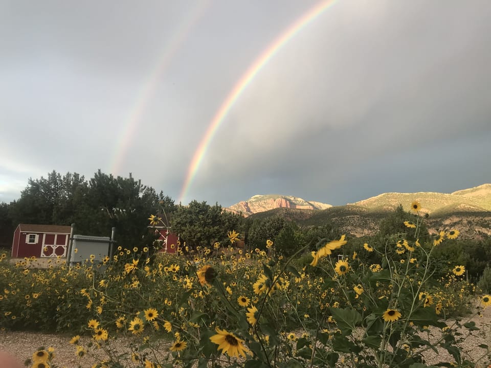 Our Son took this shot.  It shows how much The Lord blesses us.