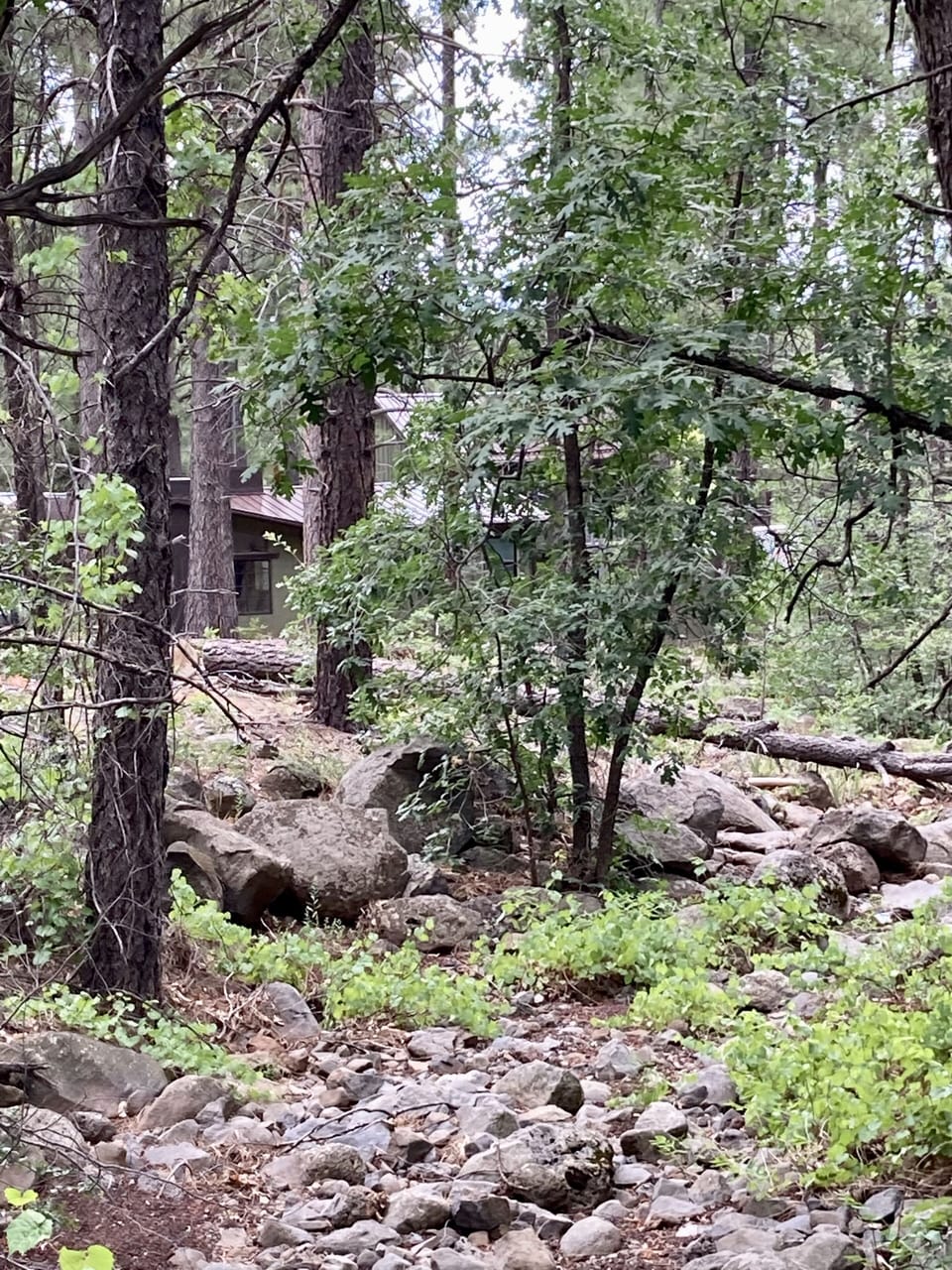 Beautiful natural landscape just behind the property.