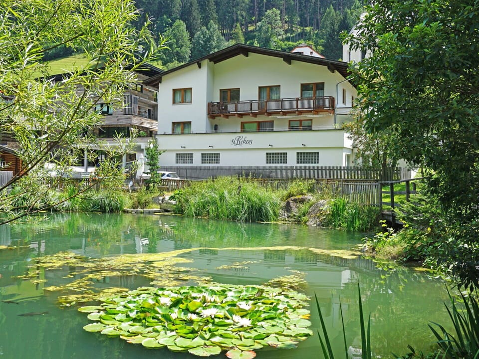 Water, Plant, Building, Window, Nature, Botany, Tree, Natural Landscape, Vegetation, Flower