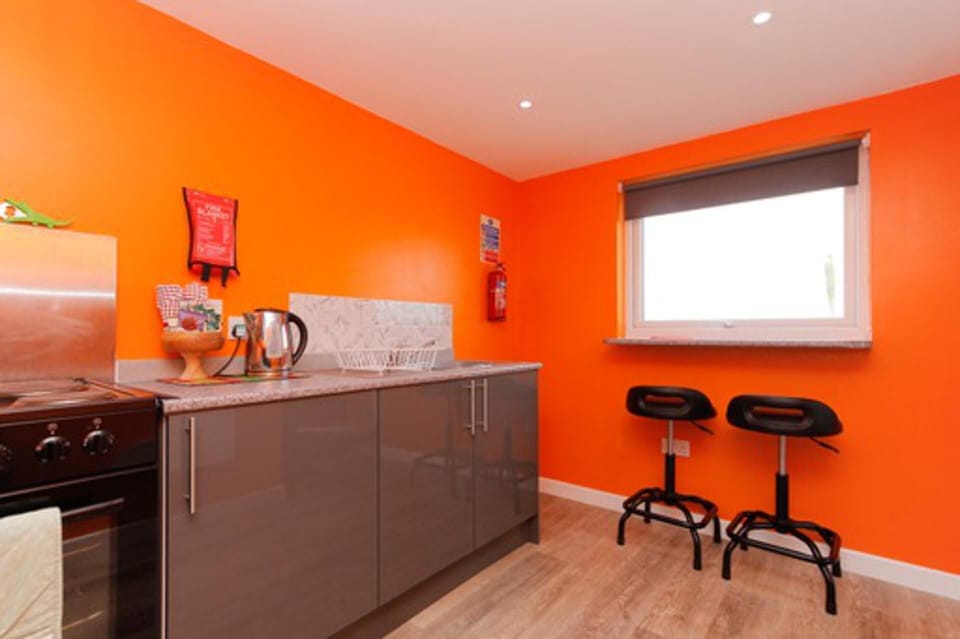Cabin | Private kitchen | Fridge, microwave, oven, stovetop