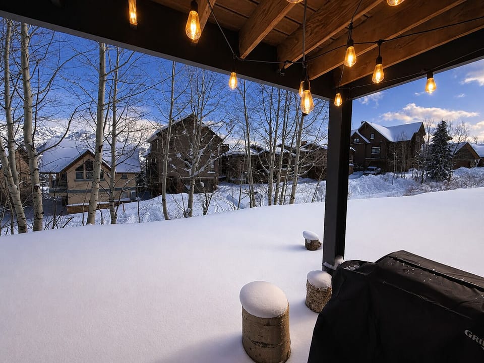 Snowy Views