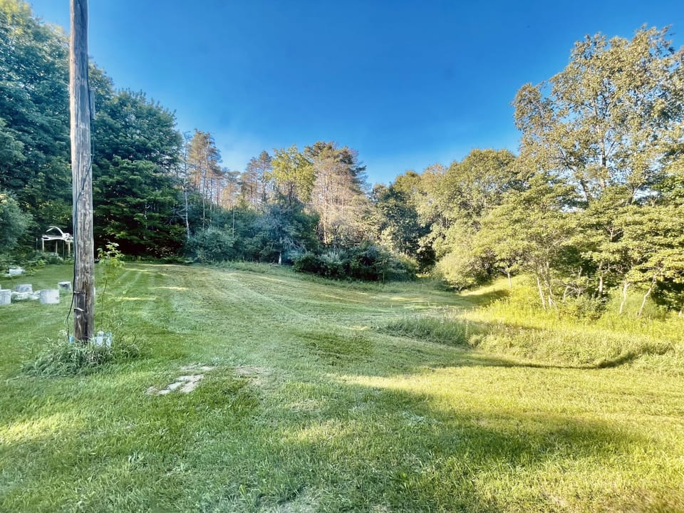 View from the back window