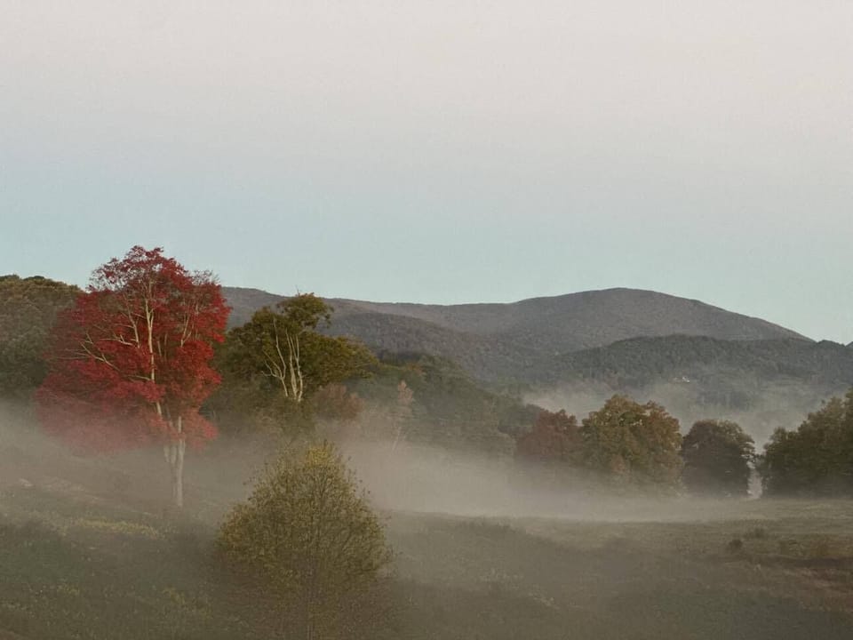 A gorgeous foggy morning.