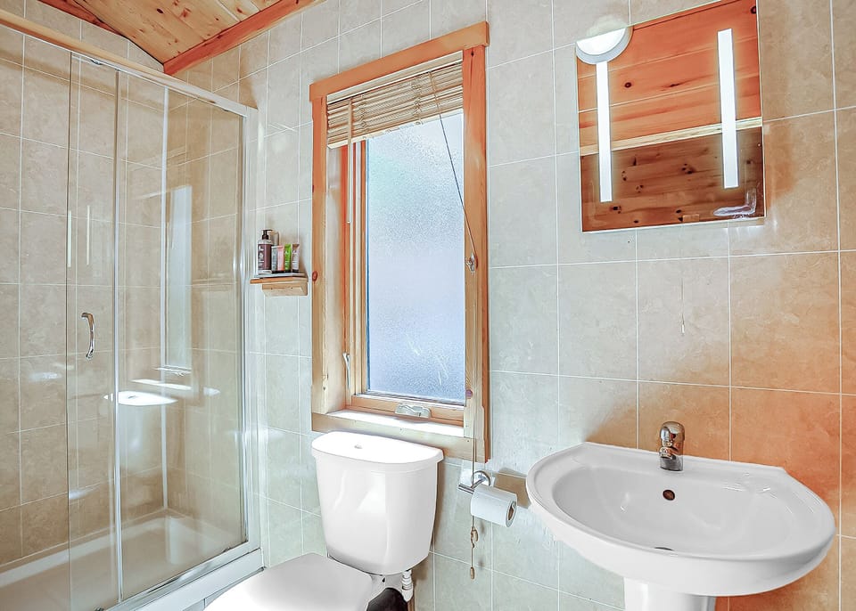 Bathroom, Toilet, Shower, House