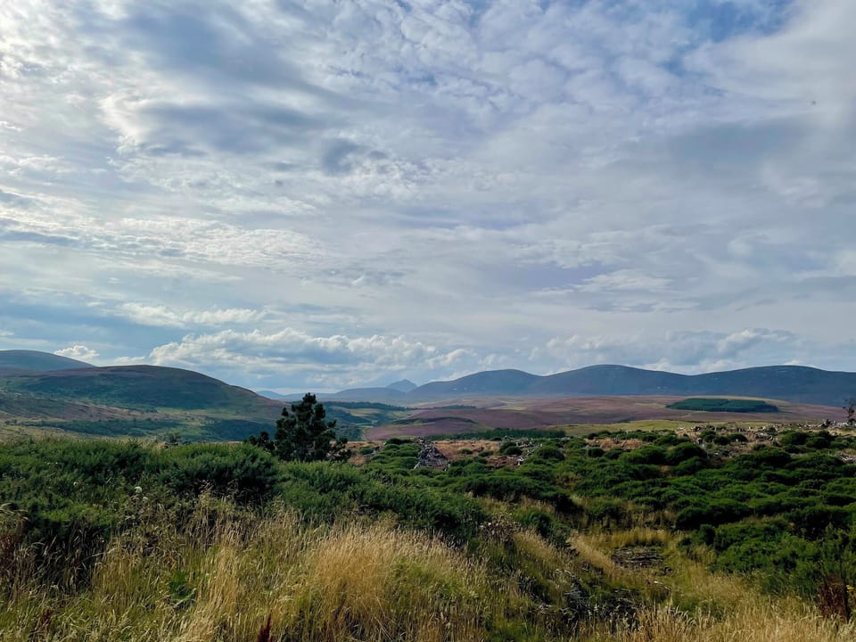 Cottage | Miscellaneous