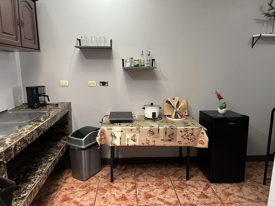 Double Room | Private kitchen | Full-size fridge, microwave, oven, rice cooker