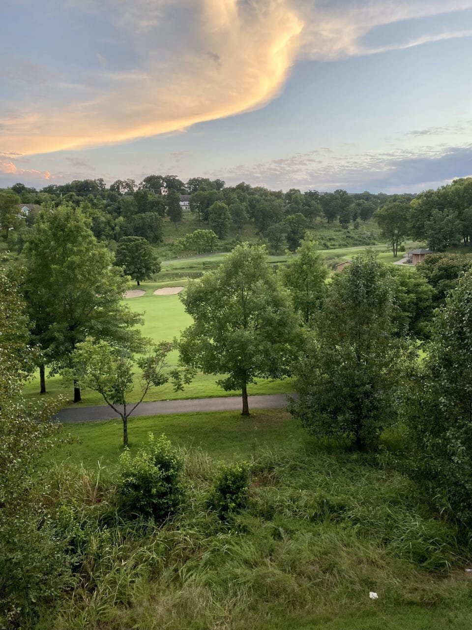 Thousand Hills Golf Course 15th hole